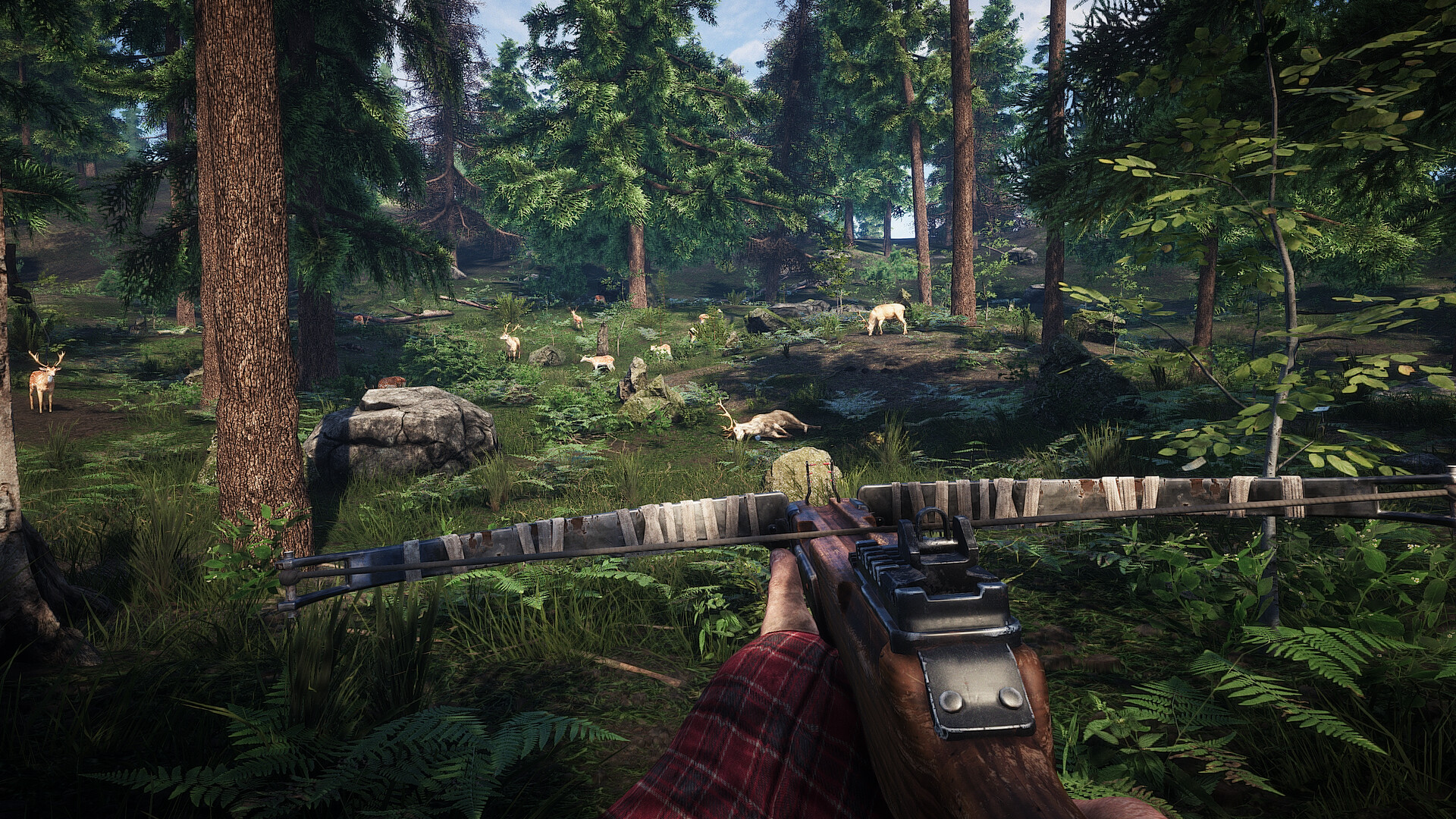 Player holding Crossbow