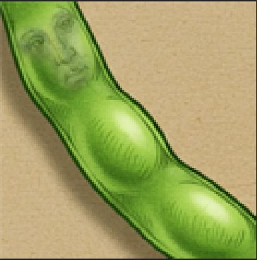Stringpfp